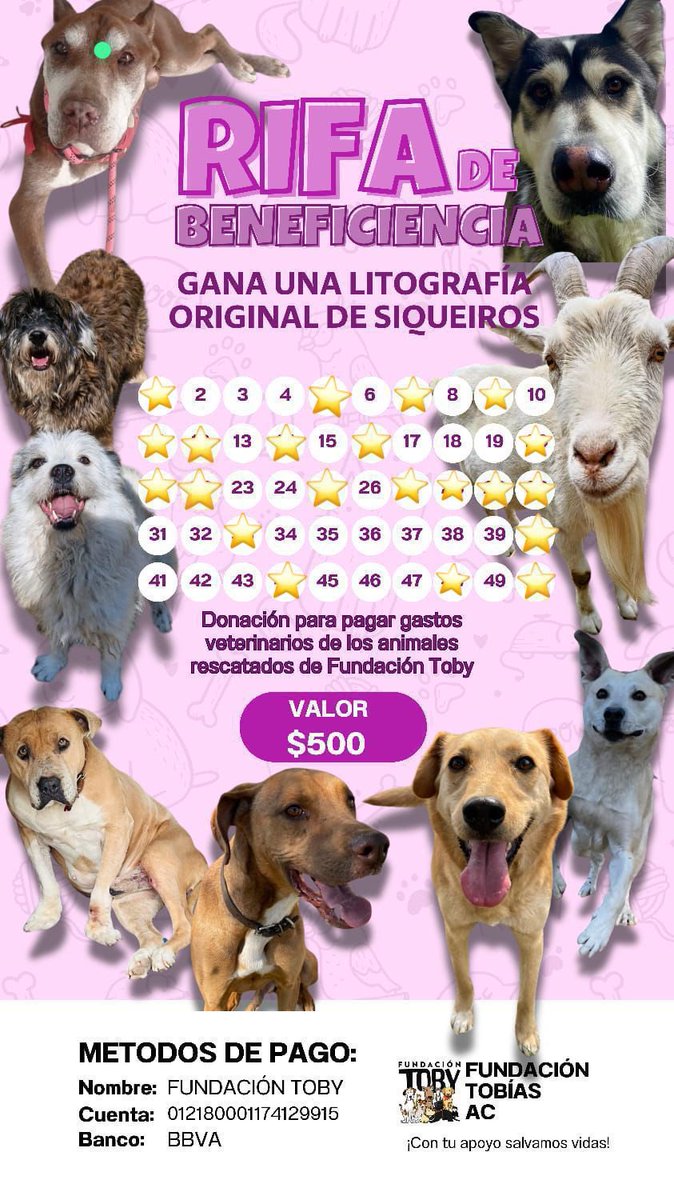 Amigos!!

Aún hay números disponibles para la rifa de la litografía de Siqueiros 🩵💜✨

Manden nombre, teléfono y su comprobante!!

$500 cada número 

 Cuentas Toby

- BANCOMER
Cuenta: 0117412991
Clabe: 012180001174129915

- SANTANDER
Cuenta: 60577008001
Clabe: