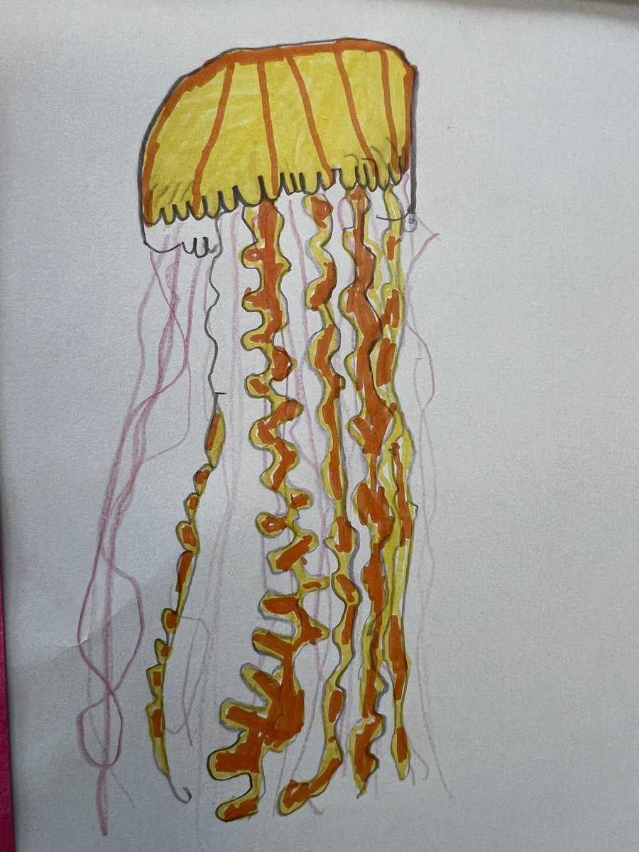 Tugby C of E Primary School (@tugbyschool) on Twitter photo Following our trip to the beach, children in year 1/2 have been sketching their favourite sea creatures. We love their attention to detail and the effort they have put in. <a href="/Rise_MAT/">Rise Multi Academy Trust</a> #livinglifetothefull Following our trip to the beach, children in year 1/2 have been sketching their favourite sea creatures. We love their attention to detail and the effort they have put in. <a href="/Rise_MAT/">Rise Multi Academy Trust</a> #livinglifetothefull