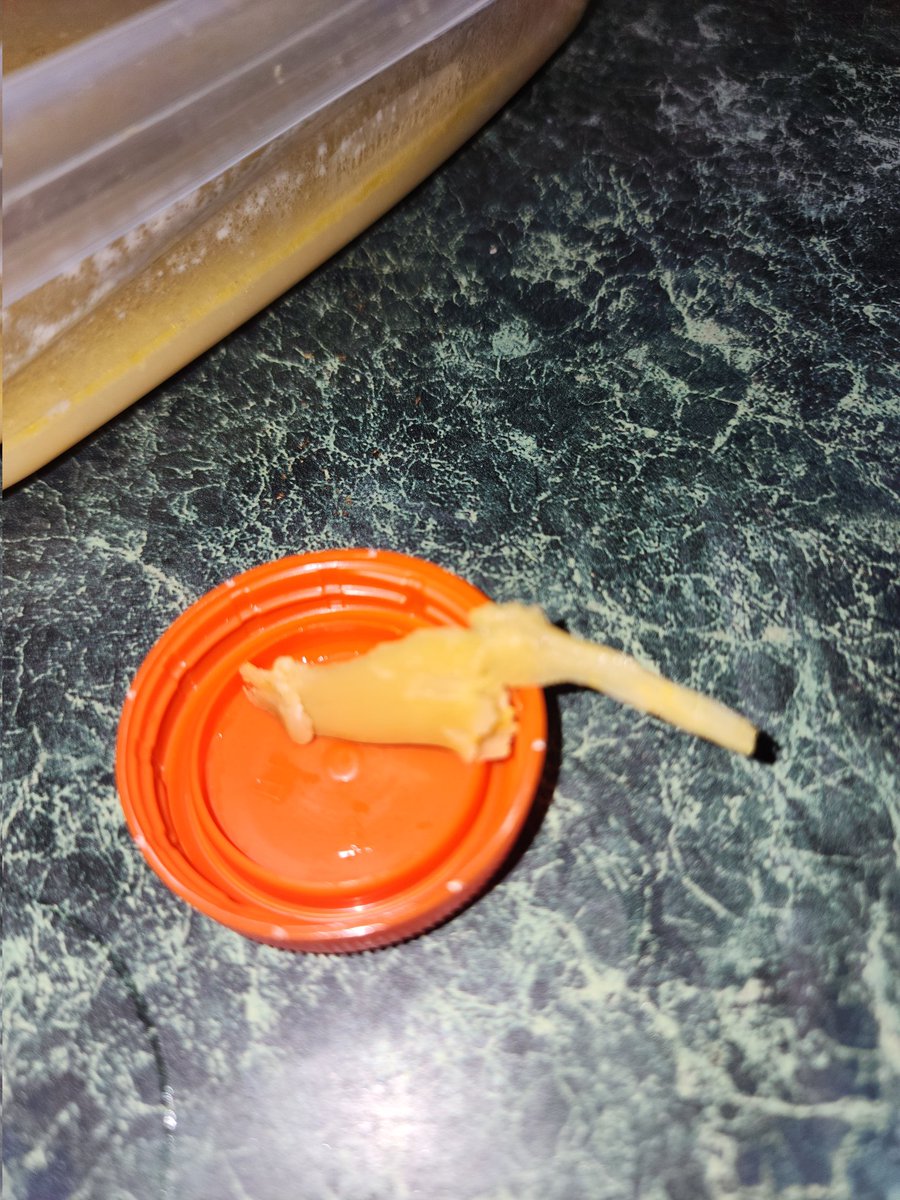 Lynn McLeod tweet media