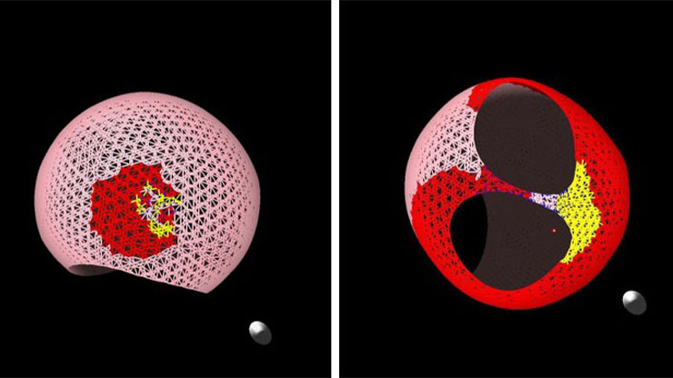 TheSIAMNews's tweet image. On the SIAM News blog, Bryant Wyatt presents an interactive model of the heart's left atrium that runs in near-real time, allowing users to simulate #cardiac arrhythmias and explore #ablation strategies outside of the operating room. Learn more here! siam.org/publications/s…