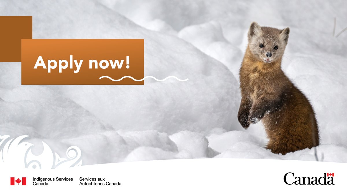 GCIndigenous's tweet image. The Climate Change and Health Adaptation Program’s call for proposals is open!
First Nations communities and organizations can apply for funding. Apply by September 12. ow.ly/HCna50VYUsH