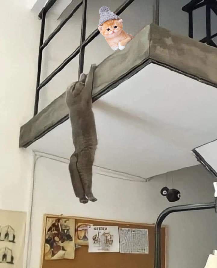 KWIFOG's tweet image. I just love being silly….its the best
Things how I wanna feel with all the other cats out there
I wanna be the top dog
Should I save him or not???
Who am I kidding! To be the best you gotta be humble and kind
I’ll save him….but make him sweat first