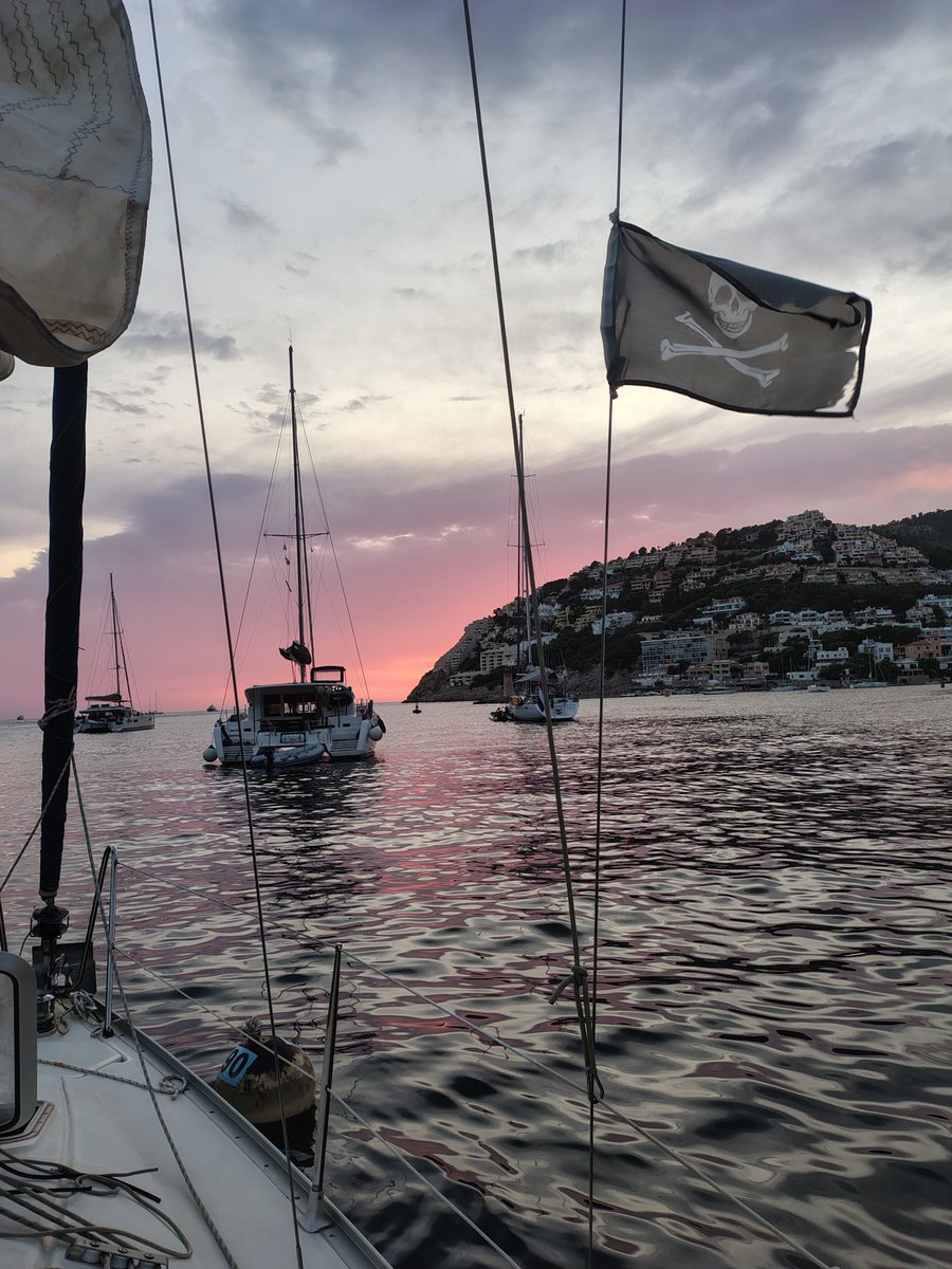 Garrapatero tweet media