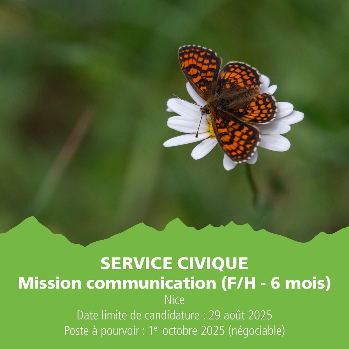 [#SERVICECIVIQUE] 📢 Rejoignez-nous en tant que Volontaire en Service Civique pour une mission d'appui à la communication (F/H - 6 mois) ! 🌿

+ d'infos : mercantour-parcnational.fr/fr/offres-demp…