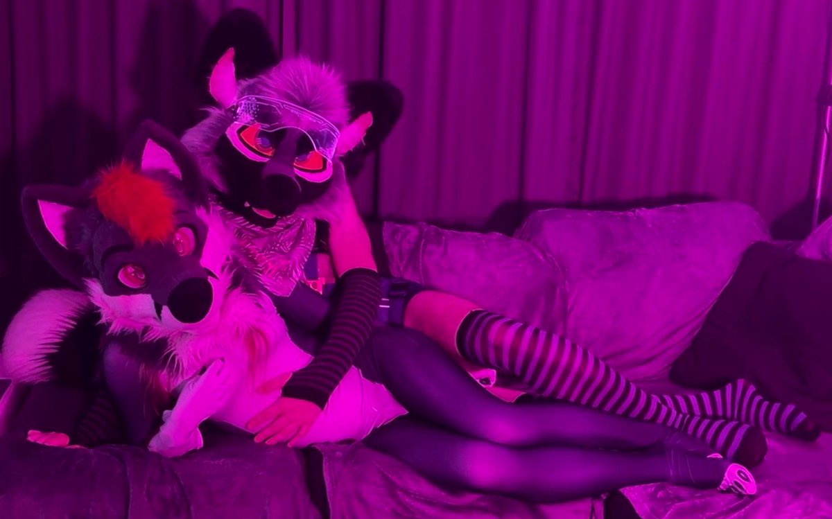 🌿Fern🌿 (@fernsilverfox) on Twitter photo 🦊 Two foxes on the couch 🦊 🦊 Two foxes on the couch 🦊