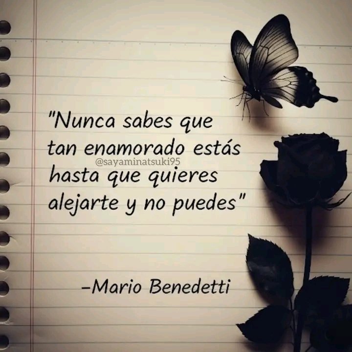 MidulceAmorSi's tweet image. 🖤