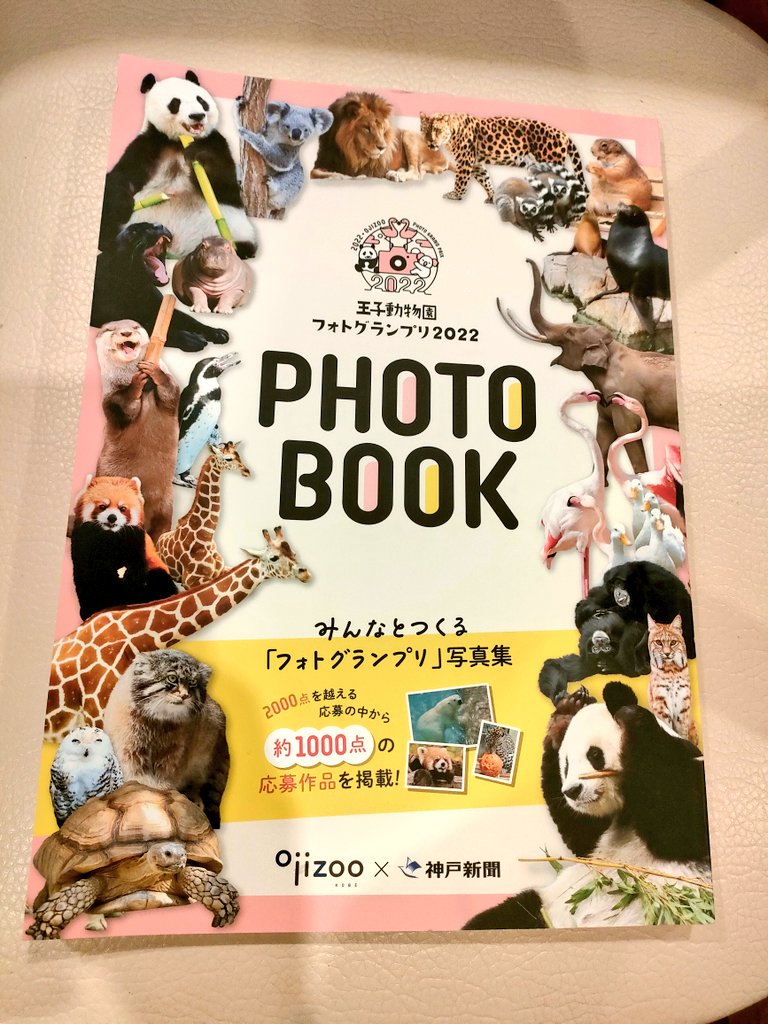 tori6477's tweet image. 王子動物園PHOTOBOOK!2022年、2023年があり2023年は売り切れ(資料室にはあるみたい)
フォトグランプリでの写真が載っていますが、公式写真集では⁉と思う程!
皆さんの渾身の1枚なので、とにかく可愛い写真がいっぱいです!
ネット販売のみで、私も教えて貰わなければ一生出会えなかったかも…