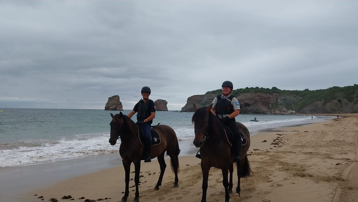 LFPCheval (@lfpcheval) on Twitter photo Les métiers de l'été : à cheval, une brigade équestre assure la surveillance à Hendaye
ow.ly/bxLl50Wpag5 Les métiers de l'été : à cheval, une brigade équestre assure la surveillance à Hendaye
ow.ly/bxLl50Wpag5