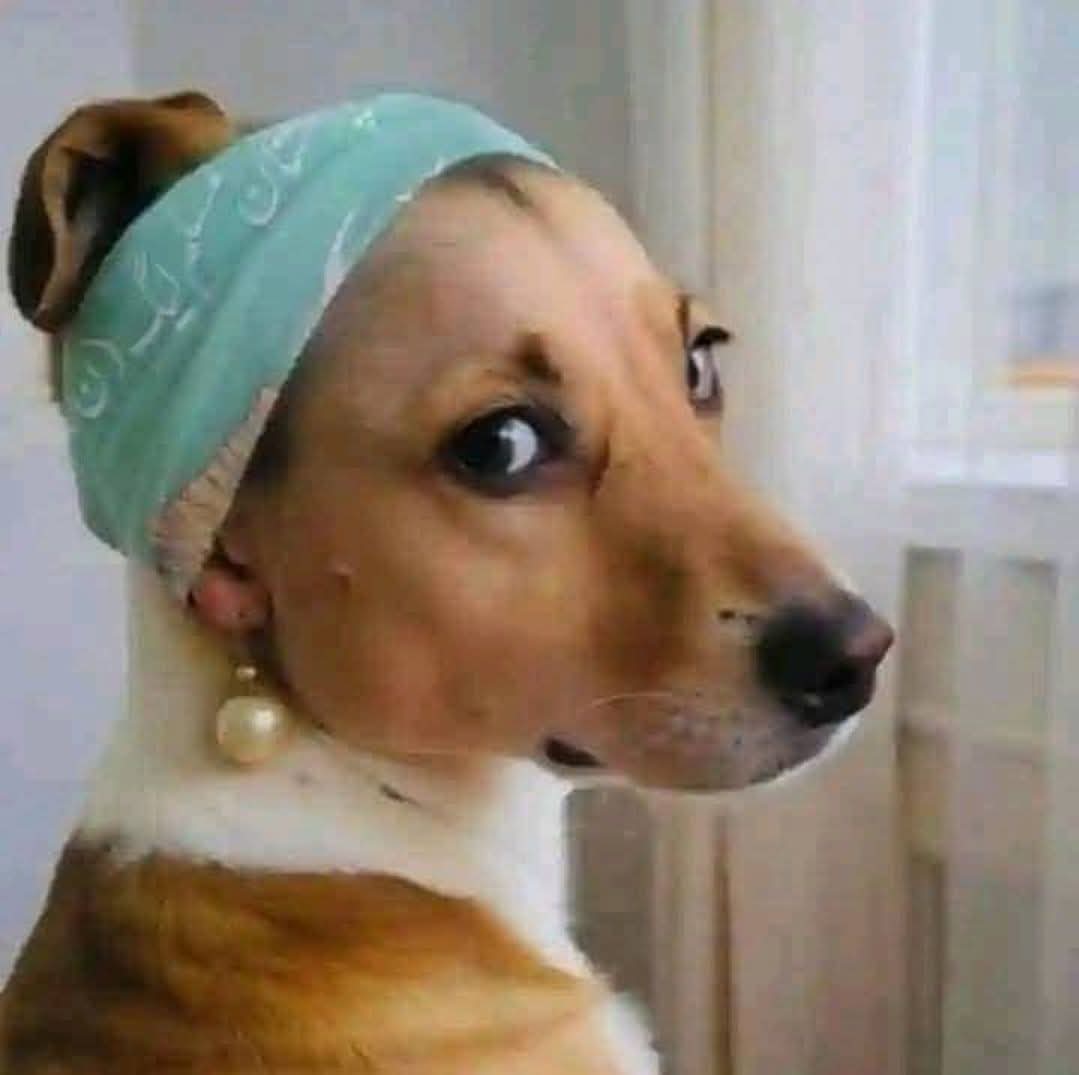 او آگئی اے🤣👇