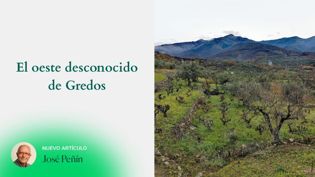 Guía Peñín (@guiapenin) on Twitter photo Hoy nos adentramos en el lado desconocido de Gredos, de la mano de <a href="/JosePeninS/">José Peñín</a>. En especial, se le hace un hueco especial a Enrique Menasalvas y su proyecto vinícola de Bodegas Gaia🍷🍇
➡️guiapenin.wine/magazine-blog-… Hoy nos adentramos en el lado desconocido de Gredos, de la mano de <a href="/JosePeninS/">José Peñín</a>. En especial, se le hace un hueco especial a Enrique Menasalvas y su proyecto vinícola de Bodegas Gaia🍷🍇
➡️guiapenin.wine/magazine-blog-…