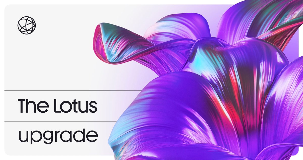 celestia's tweet image. The Lotus upgrade is just around the corner 🪷

Bringing new interop and economic changes.

Here’s what you need to know 👇