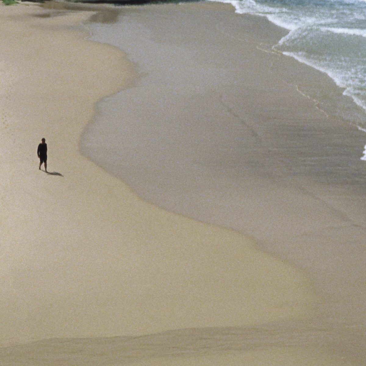 After a 10 year break from the studio, The Autumn Defense pick up right where they left off on 𝘏𝘦𝘳𝘦 𝘢𝘯𝘥 𝘕𝘰𝘸𝘩𝘦𝘳𝘦. Out 10/10, you can pre-order your copy now on Black Vinyl LP, CD &amp; Digital. Stream "The Ones" today!

Pre-order &amp; stream: ffm.to/hereandnowhere