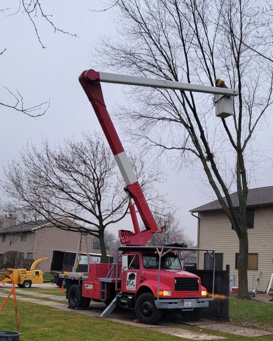RJOzunasTreeSe1's tweet image. Thick canopies can block light and stress your trees. Tree thinning ensures better air and sunlight circulation for healthier growth. Request a quote from us now!
#TreeThinning 
elmhursttreeremoval.com/contact