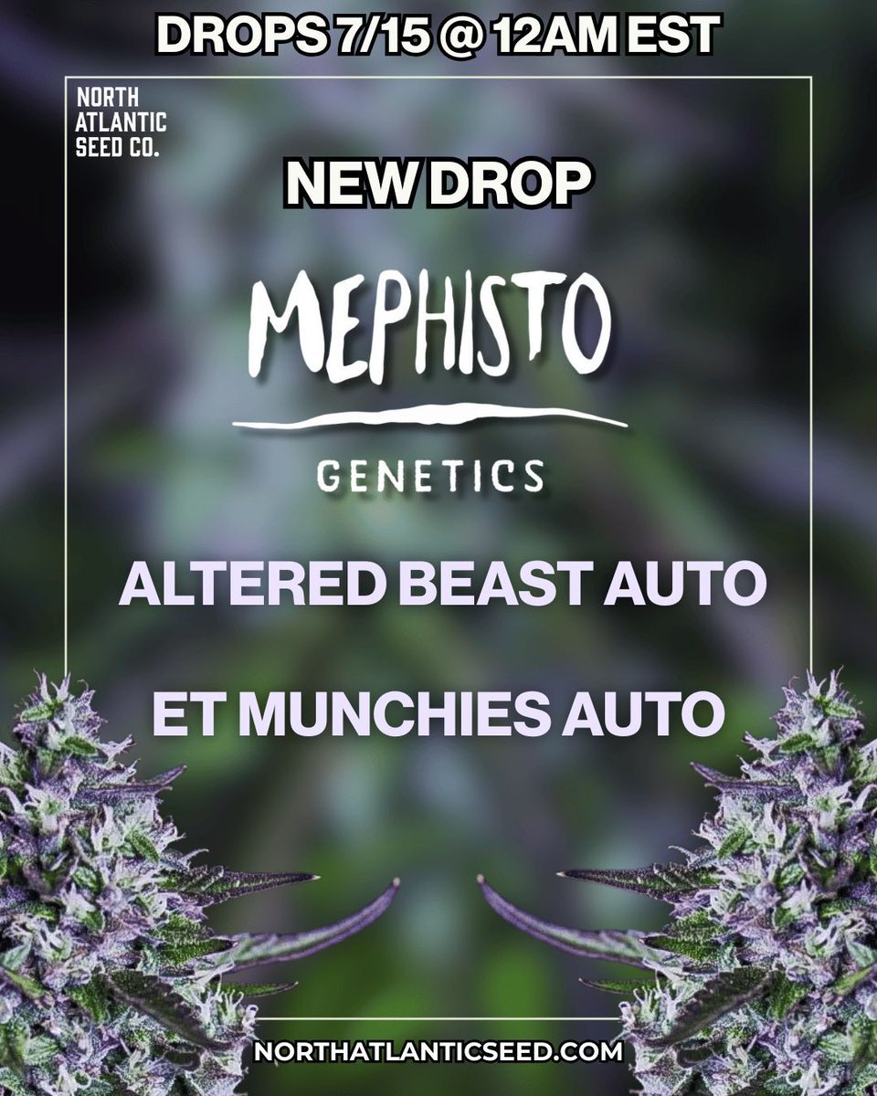 New Mephisto Genetics Strains Available Now! 🔥

Altered Beast Auto 👀
ET Munchies Auto 👽

No sales through social media