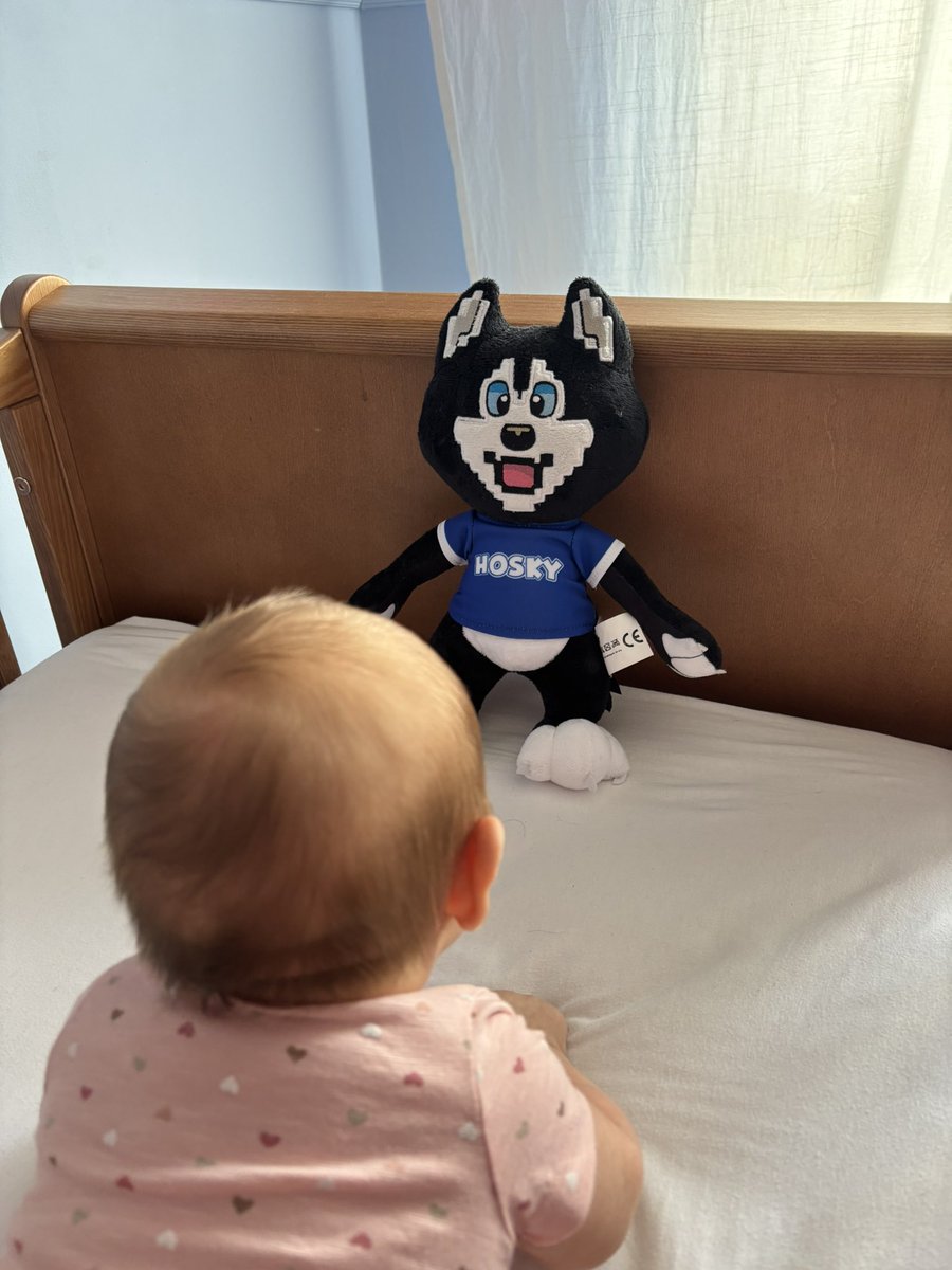 kammerlo91's tweet image. Teach them young what‘s good @hoskytoken