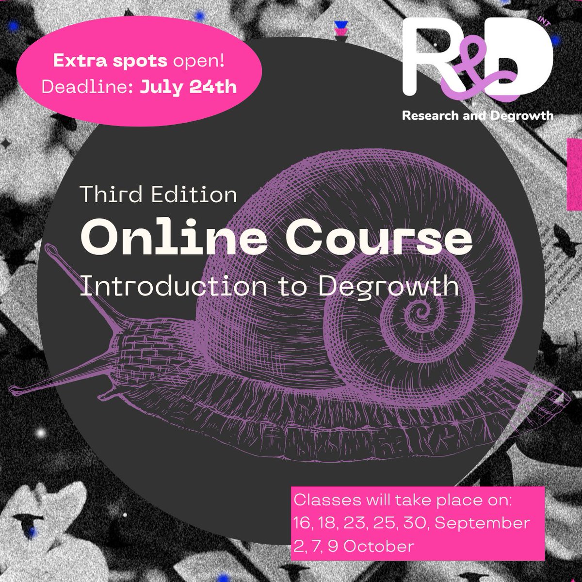 R_Degrowth's tweet image. 🐌 EXTRA SPOTS OPEN🐌
🥸 The third edition of the online "Introduction to Degrowth" course will run from September to October.
📆Deadline: July 24th
To check the program and apply, see degrowth.org/projects/degro…
#degrowth #course #online #economics