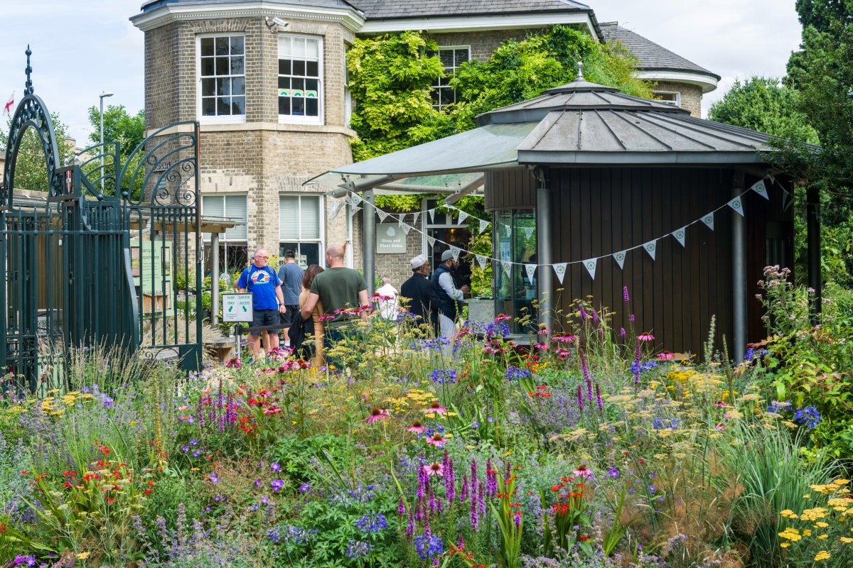 🌱 Passionate about people &amp; gardens? We’re hiring a Visitor Services Team Leader! Be at the heart of the Garden's daily operations &amp; shape unforgettable guest experiences in a stunning setting. Apply now 👇 🔗 botanic.cam.ac.uk/join-support/j…
#JobOpportunity #JoinOurTeam #BotanicGarden