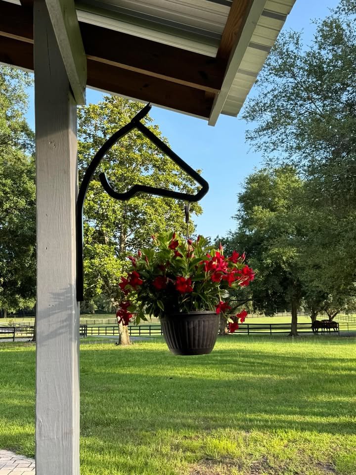 JlevineJimmy's tweet photo. Horse plant holder, direct message for info. https://t.co/6aP2Ij23zW