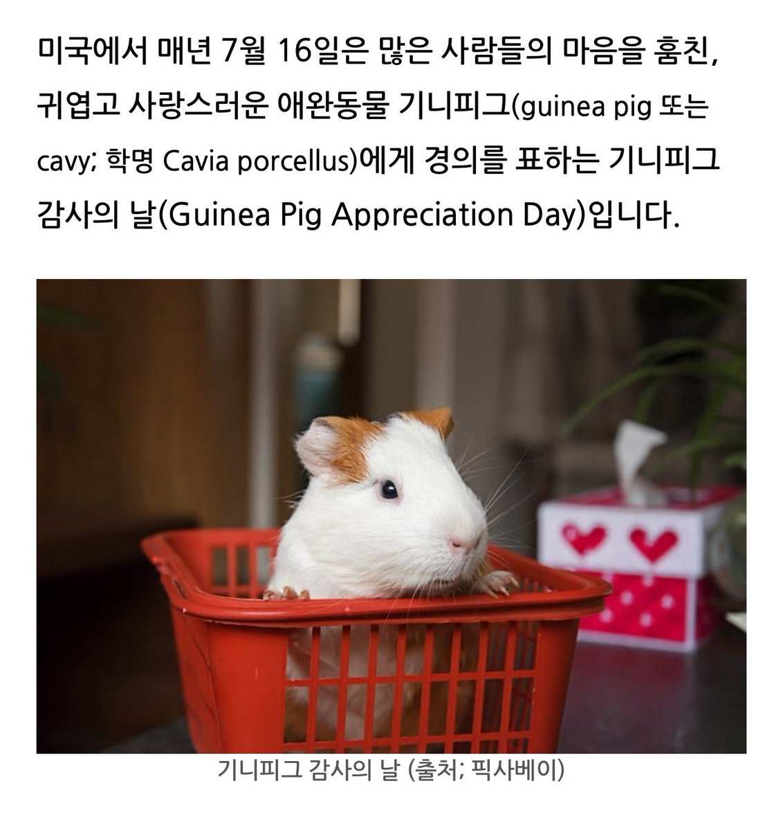 o0sa1ka's tweet photo. Hi https://t.co/tf4EWU0QYg