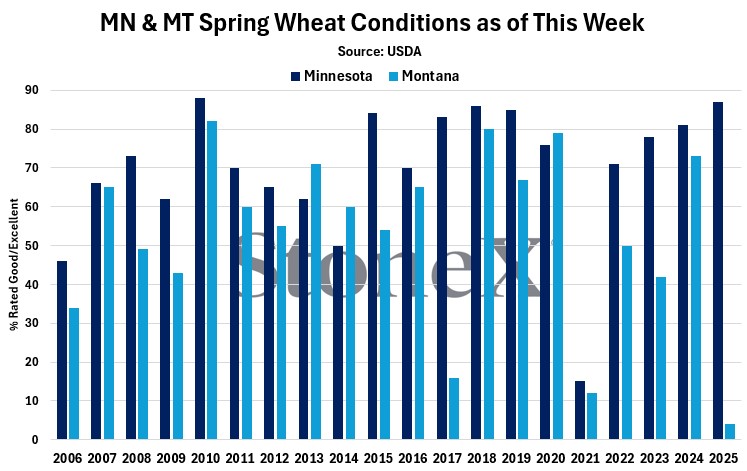 mike_castle2's tweet image. A tale of two sides in the US spring #wheat crop--
Minnesota: 87% G/E (+7% week-on-week)
2nd highest rating at this time on record (just behind the previous record of 88% set in 2010)
Montana: 4% G/E (+2% week-on-week)
Worst rating at this time on record
#oatt