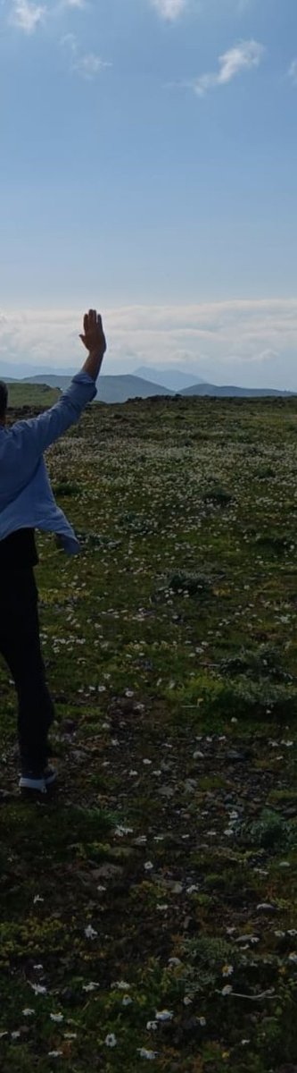 Dağlarda ,ancak papatyalarla  dertleşiyorum

vslm.nk.