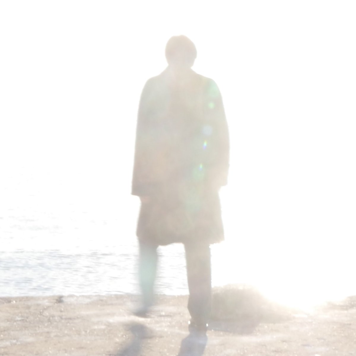 thecircus_band's tweet photo. 💥NEW ALBUM💥
3rd Album “Limbo”
2025.7.30 Vinyl release

収録曲 “フェンネル”を本日先行リリースしました。
ぜひお聞きください。
https://t.co/y1f4XapIKG

🐳Vinyl 予約受付中
https://t.co/aQ1eeoKBqJ https://t.co/jFzp9hVZoC