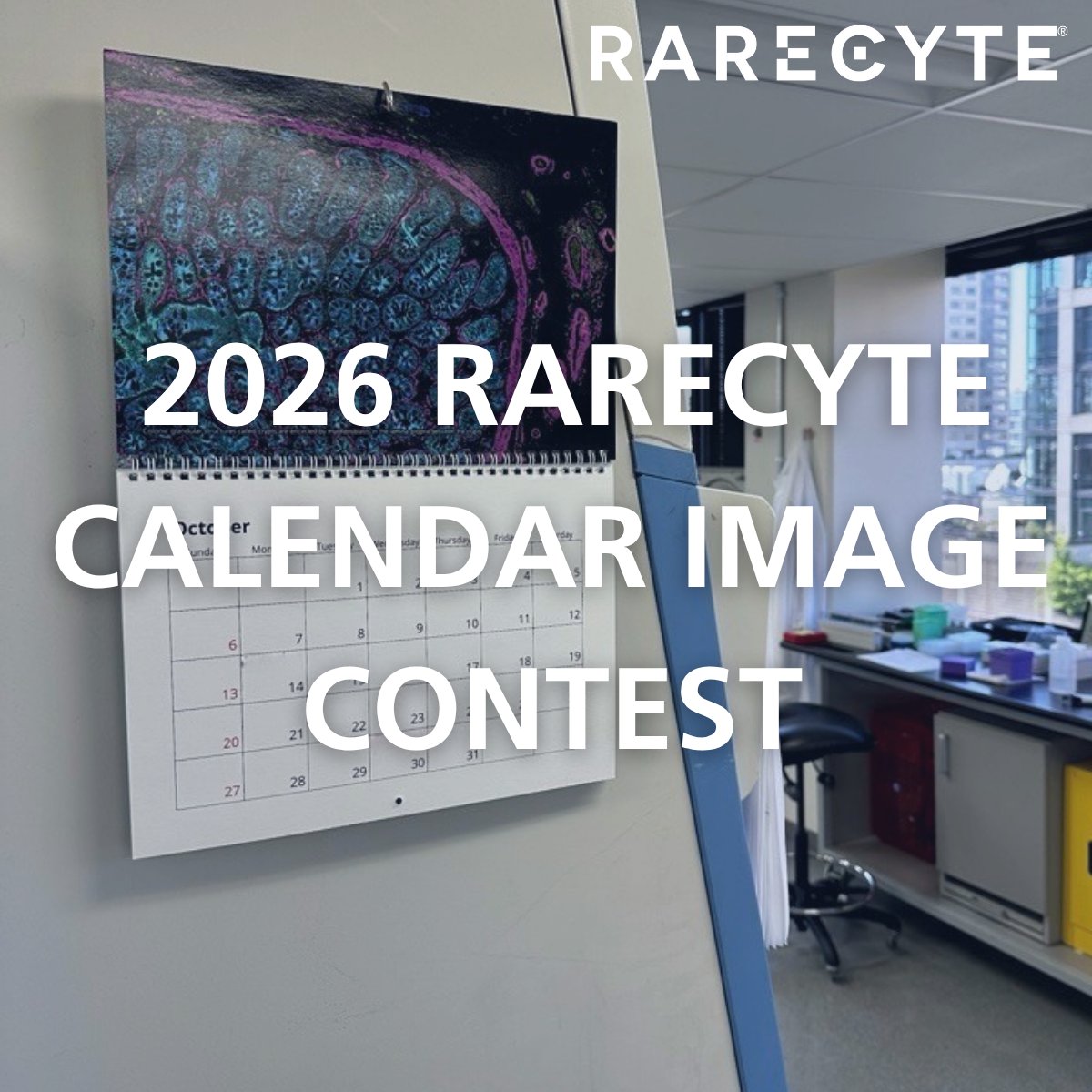 RareCyte's tweet image. Back by popular demand…the RareCyte Calendar Image Contest! 📅 Submissions are now open to be featured in our 2026 calendar.

To enter, submit your most awe-inspiring image taken on either an Orion or CyteFinder instrument. Learn more: rarecyte.com/2026calendar/?…
