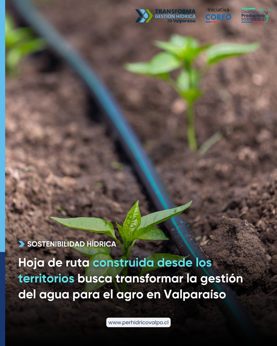 💧 #EficienciaHídrica | Hoja de ruta construida desde los territorios busca transformar la gestión del agua para el agro en Valparaíso.

👉 Más información: portalagrochile.cl/2025/06/09/ini…