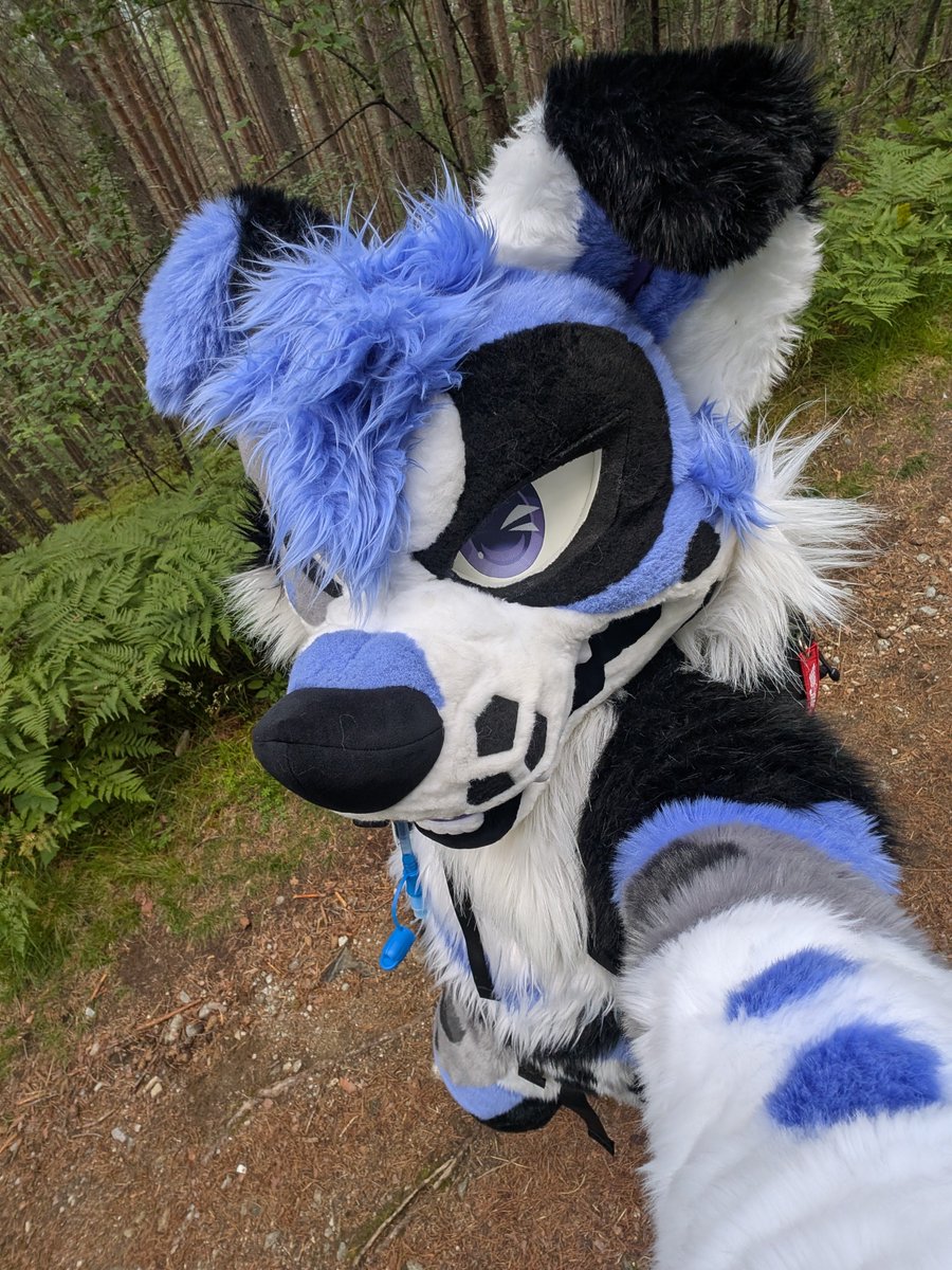 I am once again hiking in fullsuit 
#Fjordcon
