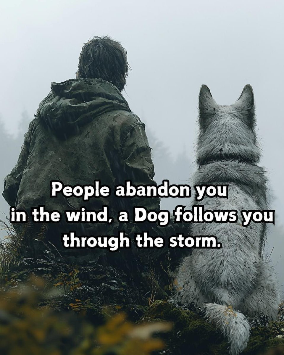 𝕏 Dogs (@_xdogs) on Twitter photo 