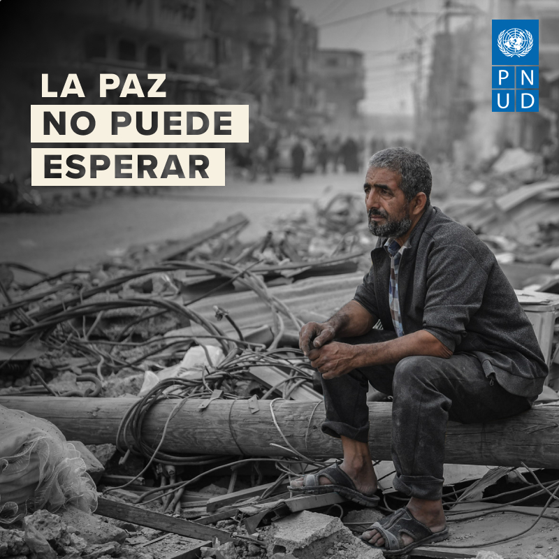 pnud's tweet image. Los conflictos nos impiden alcanzar nuestro máximo potencial como comunidad mundial y frenan el desarrollo en todos los ámbitos.
En estos tiempos de incertidumbre, el Año Internacional de la Paz y la Confianza busca revitalizar una cultura mundial de paz: go.undp.org/3is