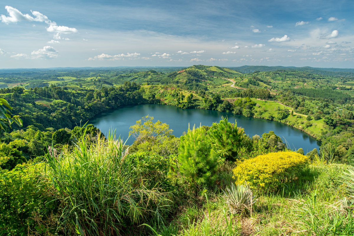 Global Environment Facility (GEF) (@thegef) on Twitter photo Africa’s forests cover 636 million hectares — 16% of global forest area — with 98% naturally regenerating. GEF’s support has launched 275 forest projects across Africa, through $1.9 billion in investments, leveraging $14.2 billion of co-financing.
thegef.org/newsroom/featu… #AMCEN Africa’s forests cover 636 million hectares — 16% of global forest area — with 98% naturally regenerating. GEF’s support has launched 275 forest projects across Africa, through $1.9 billion in investments, leveraging $14.2 billion of co-financing.
thegef.org/newsroom/featu… #AMCEN