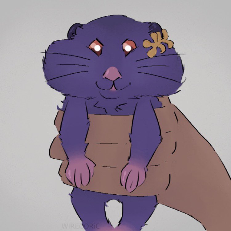 CaIculatedRIsk's tweet image. Ratio ham comm by @CABLEOLOGY