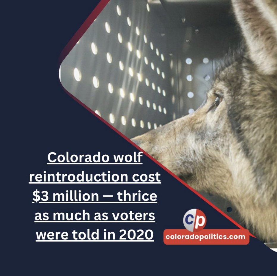 ColoradoASPx's tweet image. Per capita spending on mental health in Colorado is 47th out of 50th in the nation.  Would the $3 million spent on wolves have been better spent helping ill people in Colorado? The ASP thinks so.