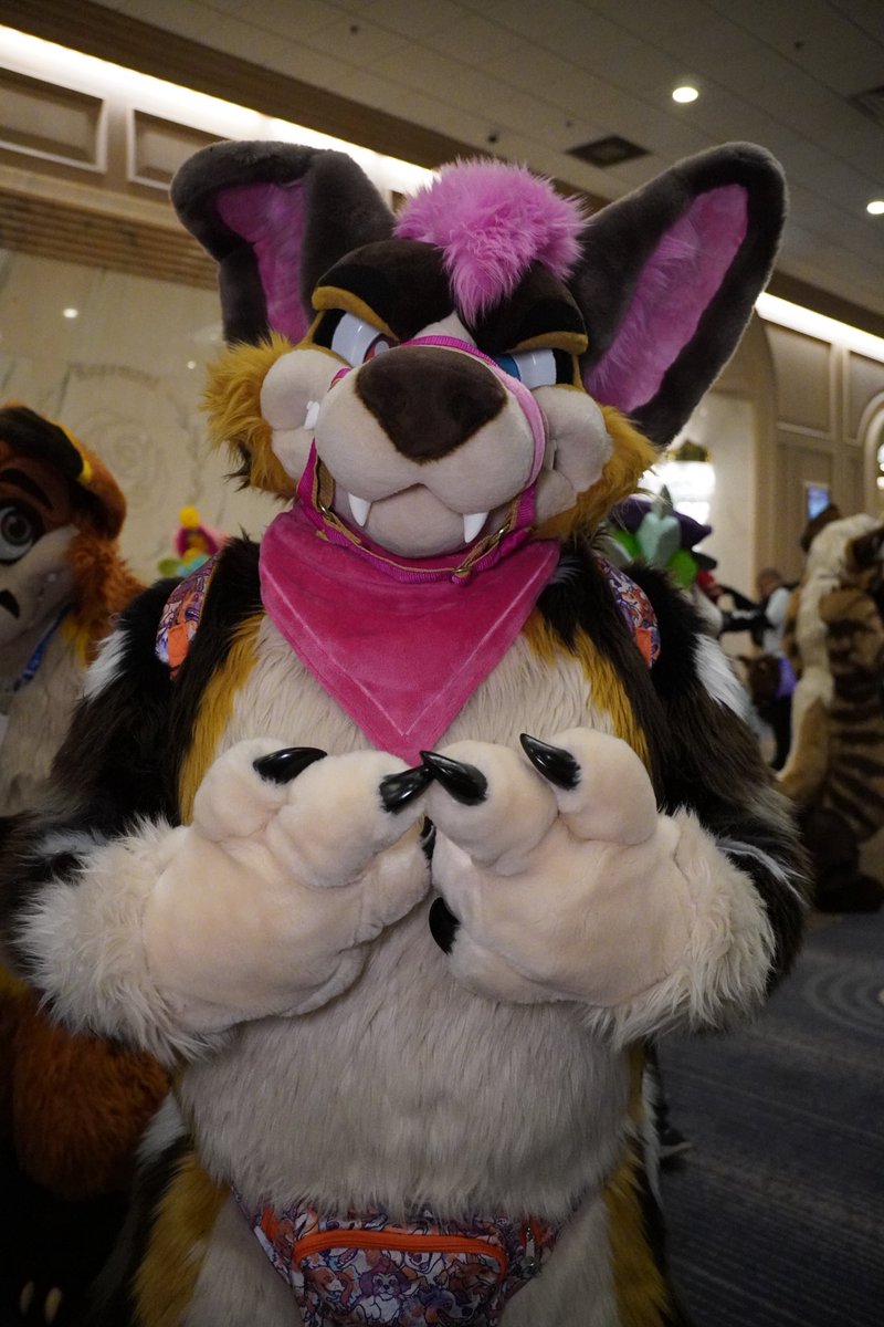 It’s really hard to make gang signs in fursuit haha especially with feral paws….🐾

It’s probably for the best 😅

📸 ~ <a href="/MarsOtter/">MAR$💫</a> #MFF2024