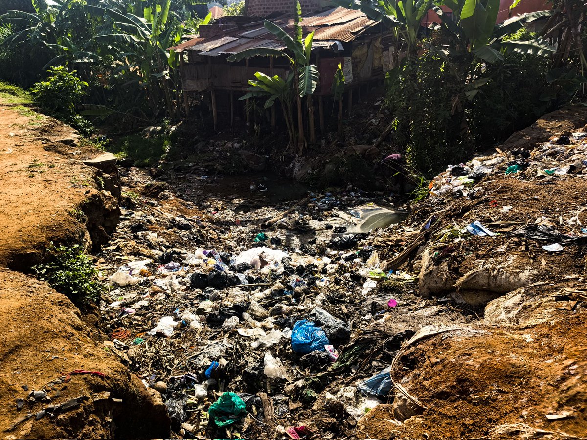 AliDidaat's tweet image. From more heatwaves, extreme weather events, droughts, and floods, the evidence is clear: the world is feeling the impacts of the #ClimateCrisis.
#Phaistelle
#GoGreenUg