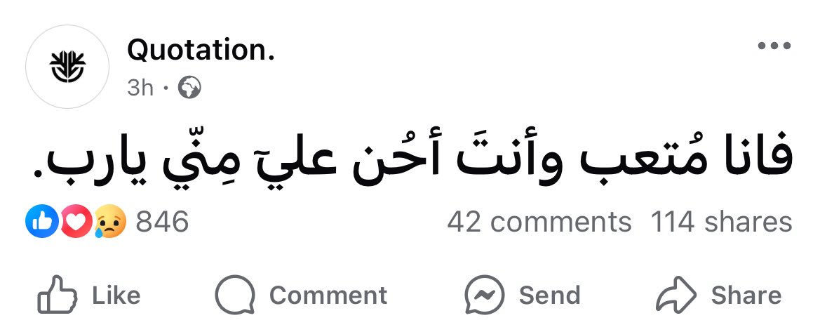 Maii • (@mai_zeidan) on Twitter photo 