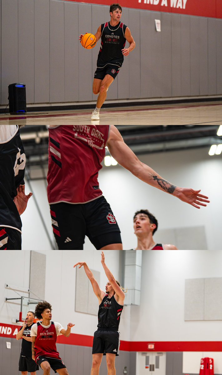 SDCoyotesMBB's tweet image. Gettin' after it 😤
#GoYotes x #WeAreSouthDakota