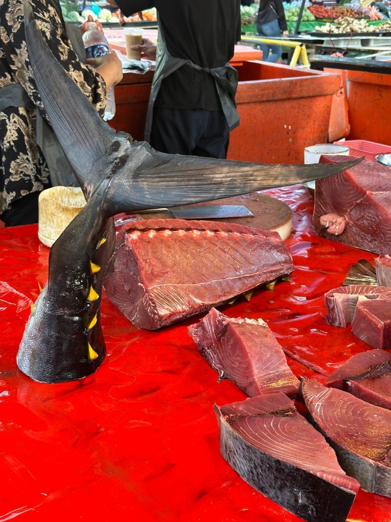 Our teams have arrived in Borneo ready to start their adventure! They will spend time exploring  Kota Kinabalu, before they move to their first activity. Once checked in to their hostel, they discovered what the local food market had to offer, before choosing somewhere for dinner