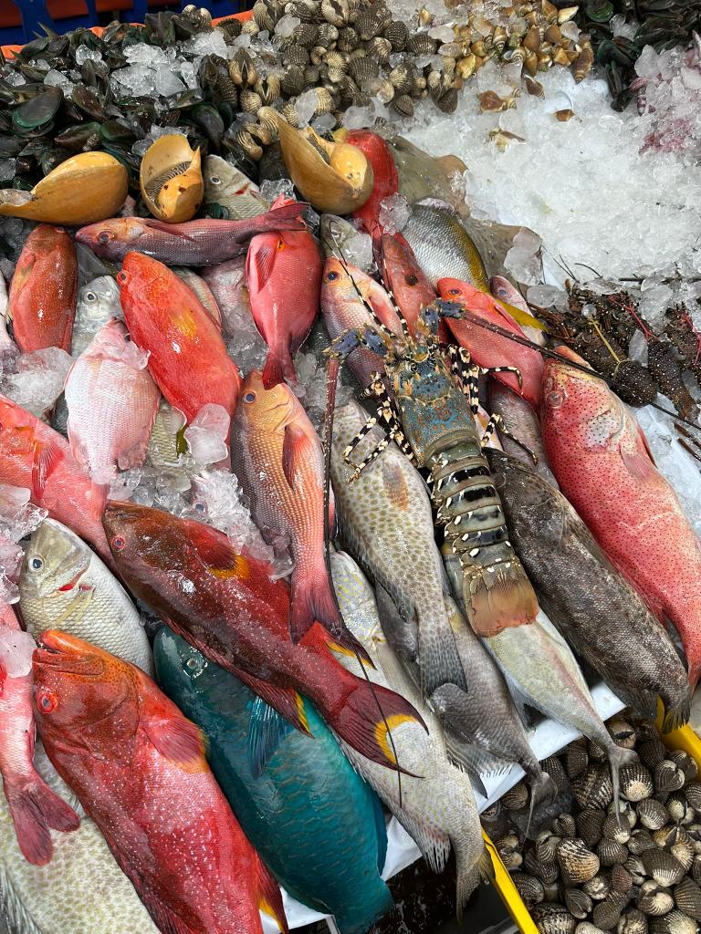 DGS Visits tweet media