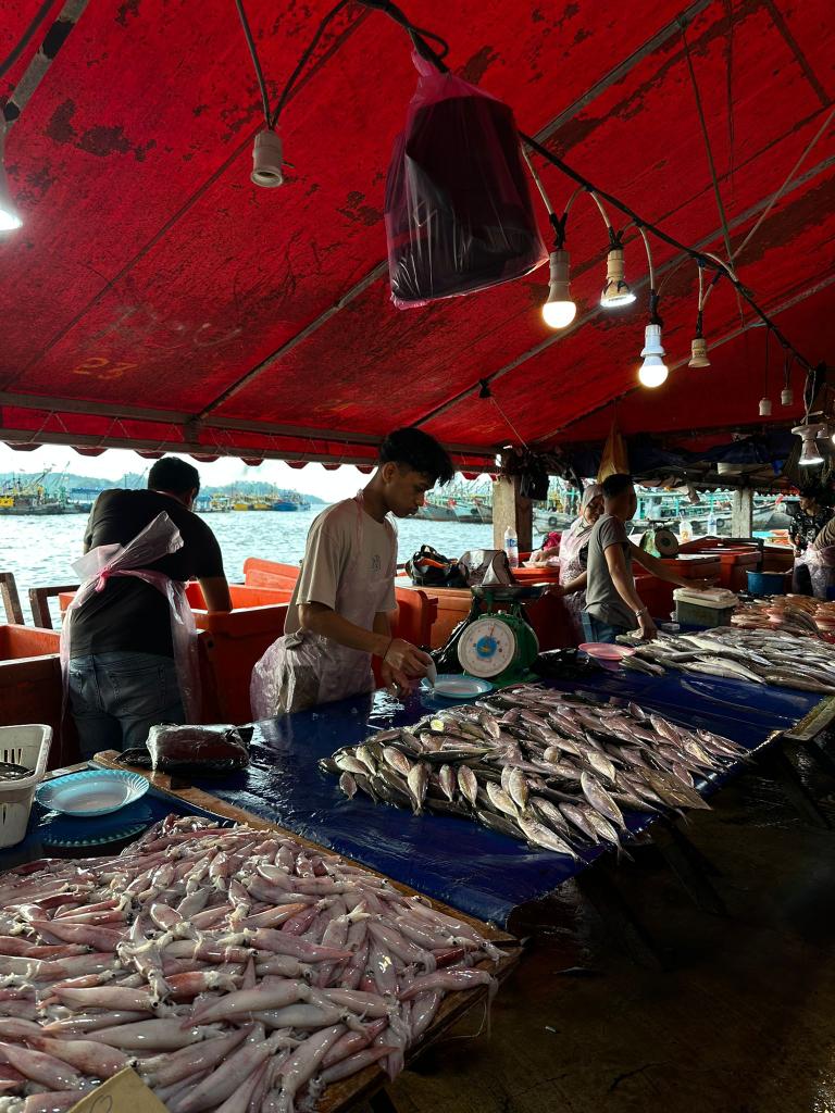 DGS Visits tweet media