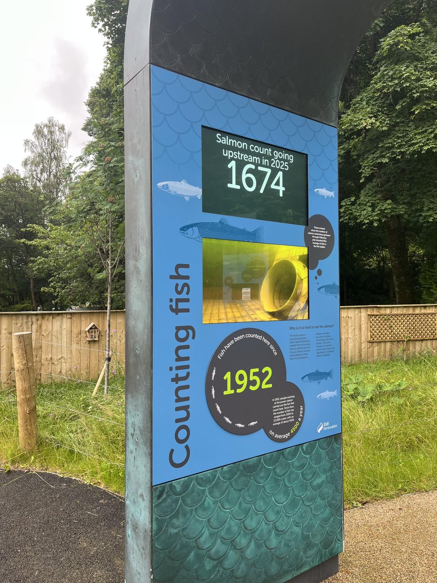 Ladder count 1674
Tuesday 15/7/25   16:40 BST
Looks like the last post of 1557 on Friday past may well have been undercounted as the counter at the Visitor Centre was stuck at 1557 until yesterday afternoon whereas the new counter was showing increasing numbers.