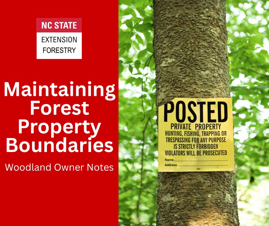 Maintaining property lines &amp; boundaries is one of the simplest yet most often overlooked forms of #protection from theft, trespass, &amp; encroachment.
This publication details how to maintain property lines &amp; includes NC Landowner Protection Act details.
content.ces.ncsu.edu/maintaining-fo…