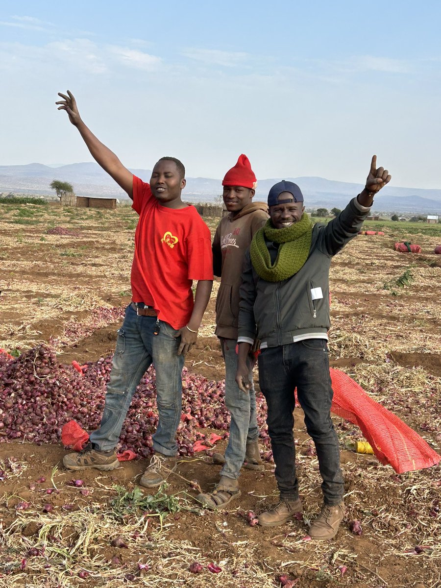 The gospel of food safety is spreading like wildfire across East Africa! What started in Kenya is now causing a storm of questions in Tanzania. 

Everyone’s asking about Agripest Bio-Organic and Flower DS from KAPI Limited KENYAthe trusted solutions for controlling thrips in