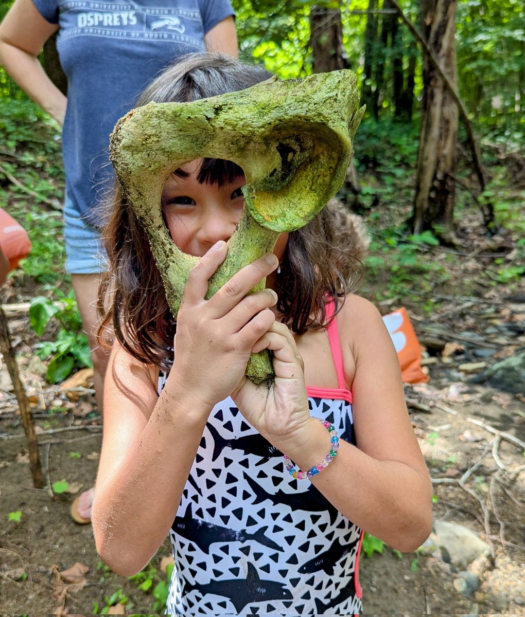 Anyone know what kind of bone this is? We found it in a creek near Boone, NC.