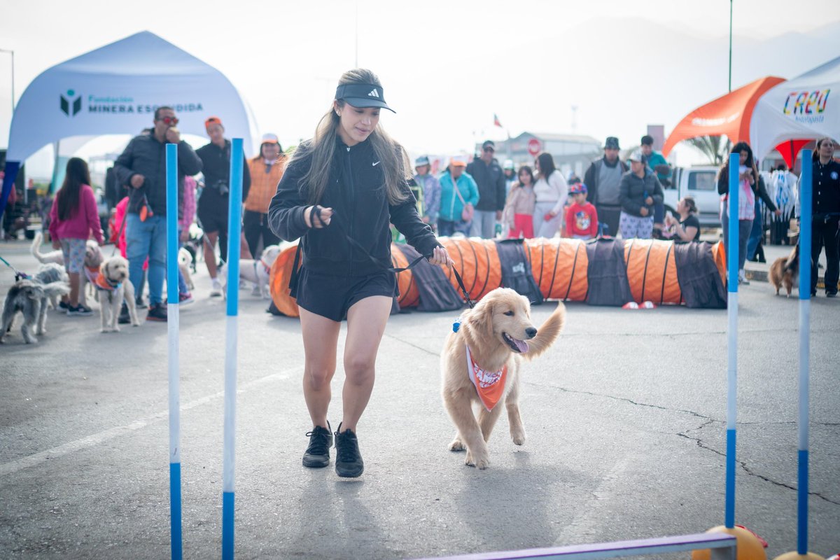 ¡Una jornada de pelos!🐶

Gracias a todos y todas por ser parte de esta segunda versión de la Corrida Perruna🤩

Esta iniciativa es presentada por Escondida | BHP, FME y Creo #Antofagasta 💛

¡Se vienen mas eventos!