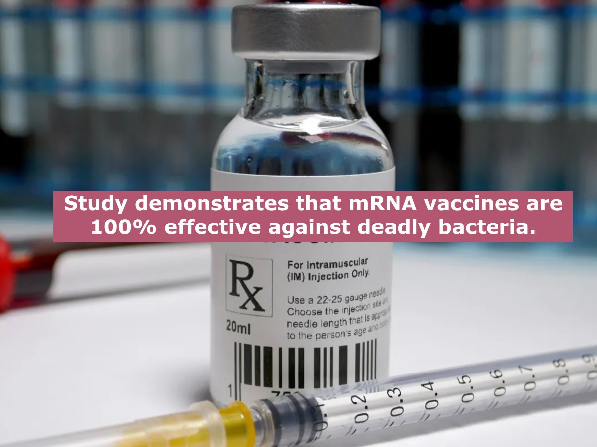 Immunize_USA's tweet image. Before a new study, mRNA vaccines were only shown to protect against viruses, but not anymore.
Learn more about the potential of mRNA vaccines.
foxnews.com/health/scienti…
#immunizations #vaccine #publichealth #mrna #bacteriavaccines
Donate
immunizeusa.salsalabs.org/donatetotip202…