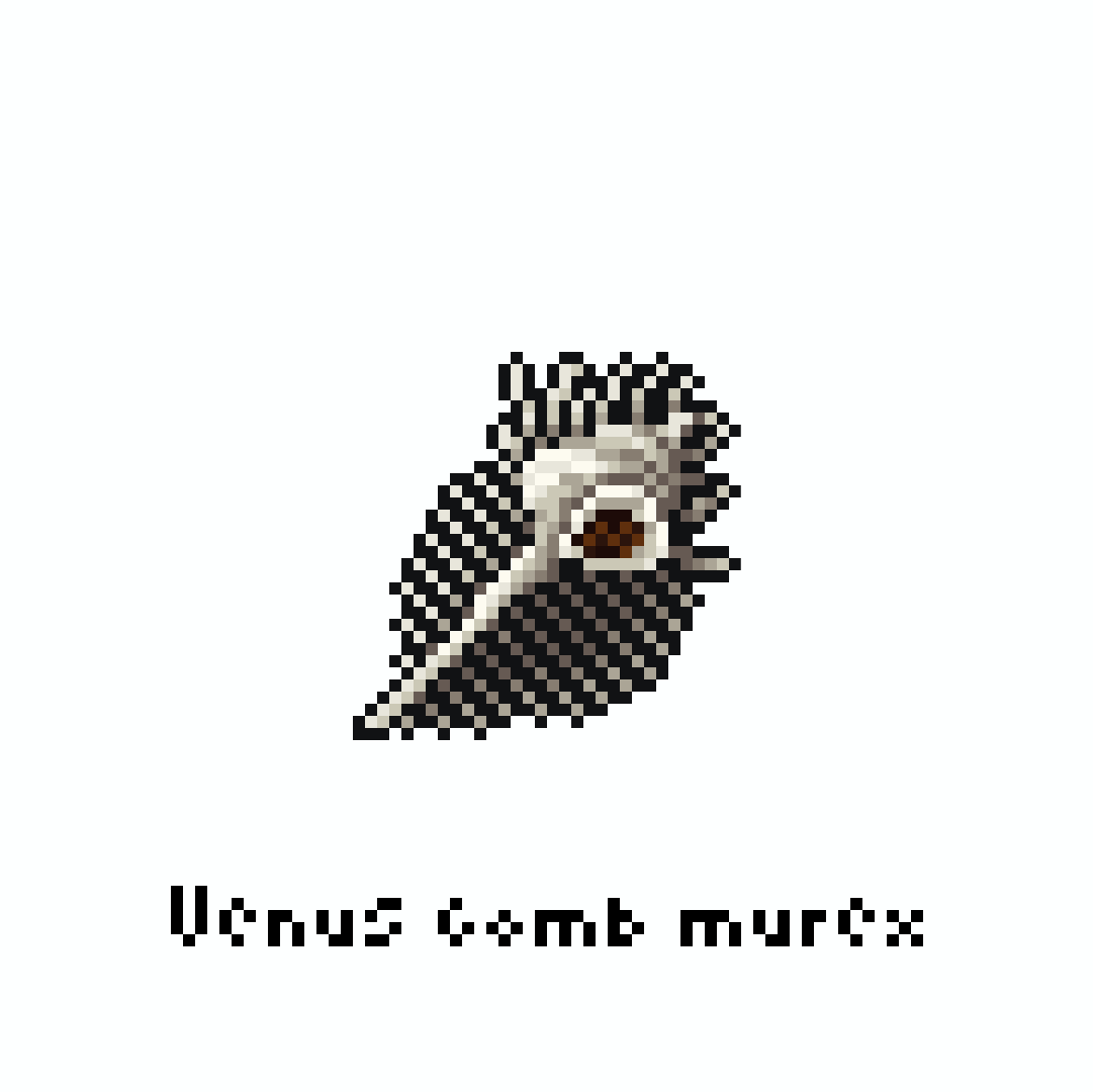 yofca13's tweet image. ホネガイ / Venus comb murex

#pixelart #illustration #ドット絵