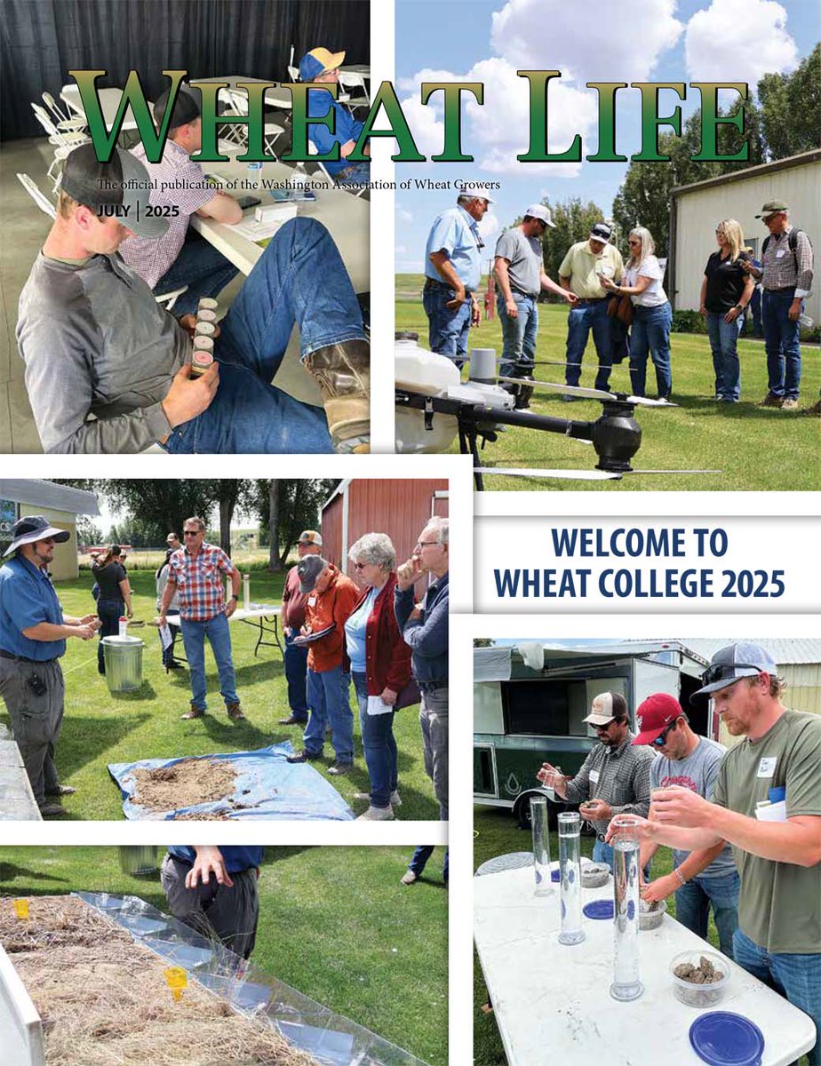 WA Wheat Growers (@wawheatgrowers) on Twitter photo July's Wheat Life is now available for download. In this issue we recapped June's Wheat College, learned about a new WSDA program that rates conservation practices, and visited a Quincy museum showcasing the area's agriculture. <a href="/WSDAgov/">Washington State Department of Agriculture</a> <a href="/MonsonRanch/">Monson Ranch Distillers</a>
wheatlife.org/wp-content/upl… July's Wheat Life is now available for download. In this issue we recapped June's Wheat College, learned about a new WSDA program that rates conservation practices, and visited a Quincy museum showcasing the area's agriculture. <a href="/WSDAgov/">Washington State Department of Agriculture</a> <a href="/MonsonRanch/">Monson Ranch Distillers</a>
wheatlife.org/wp-content/upl…
