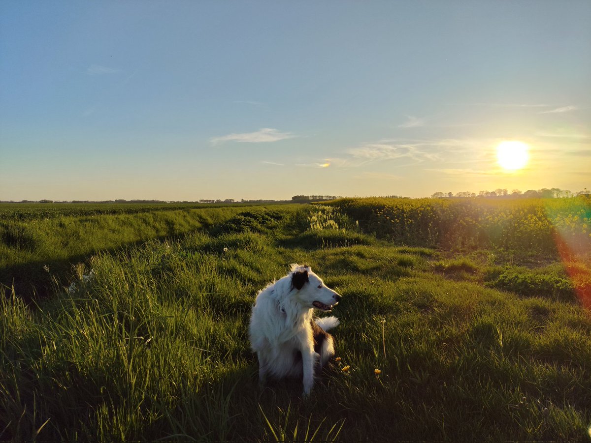 Anco Mantingh tweet media